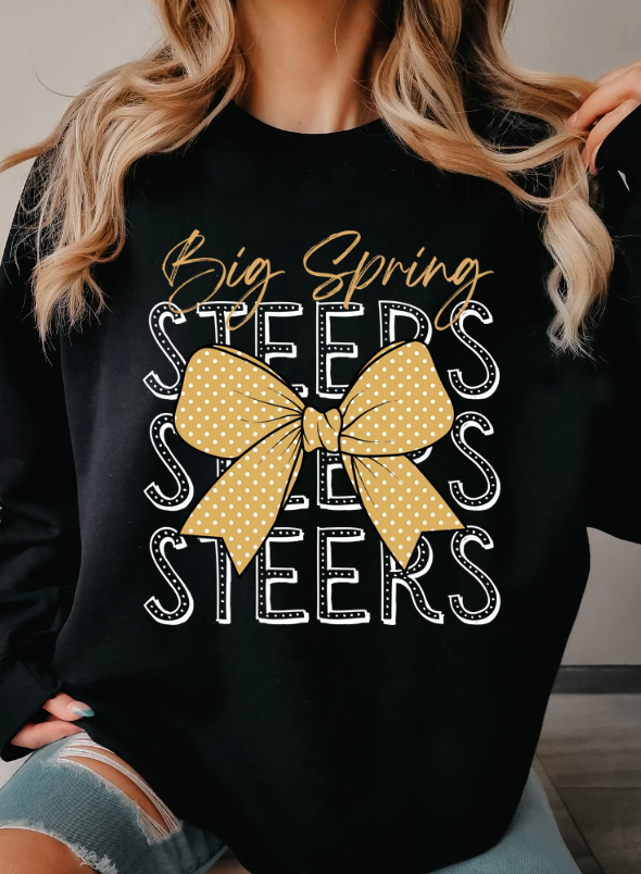 Big Spring Steers Bow