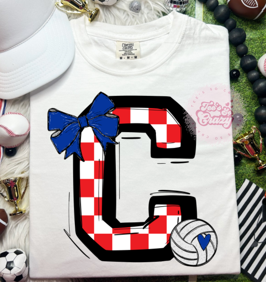 BOW CHECKERED C VOLLEYBALL