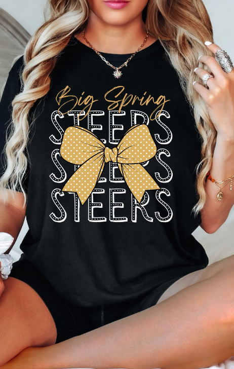 Big Spring Steers Bow