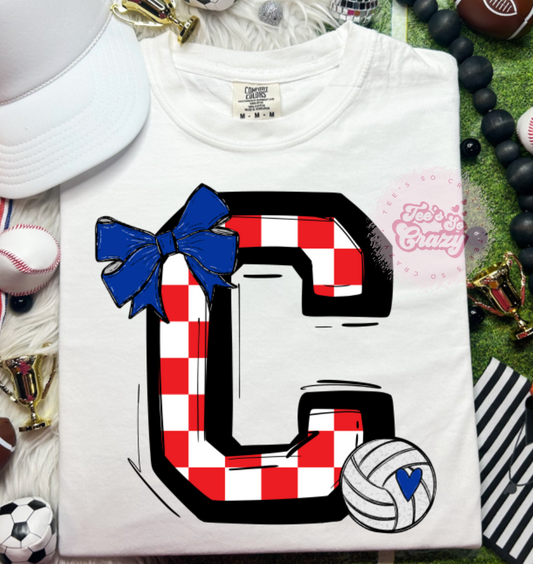 BOW CHECKERED C VOLLEYBALL